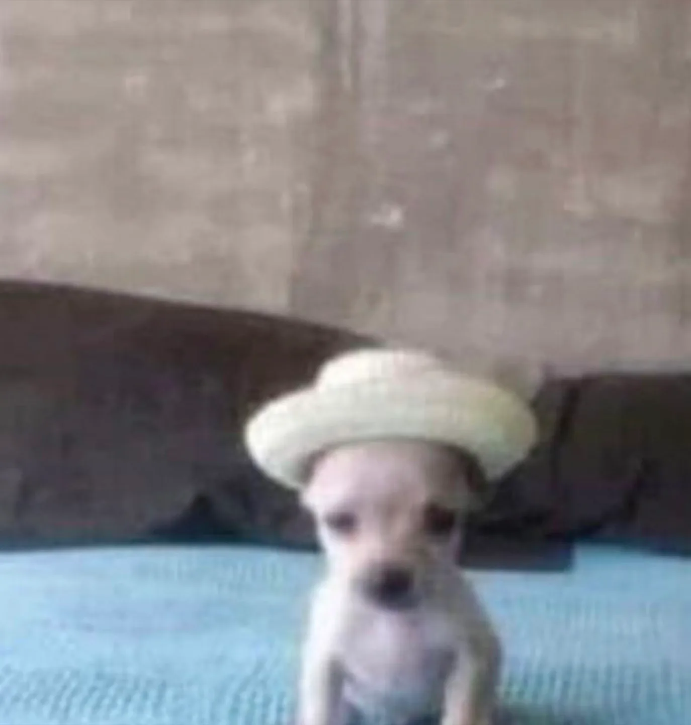 aoqqio