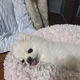 당근당근해
