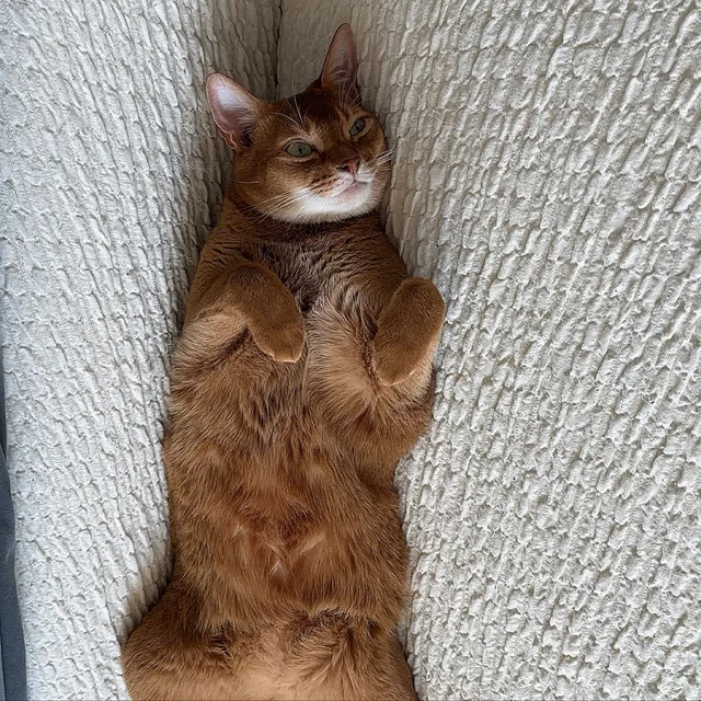 여옹