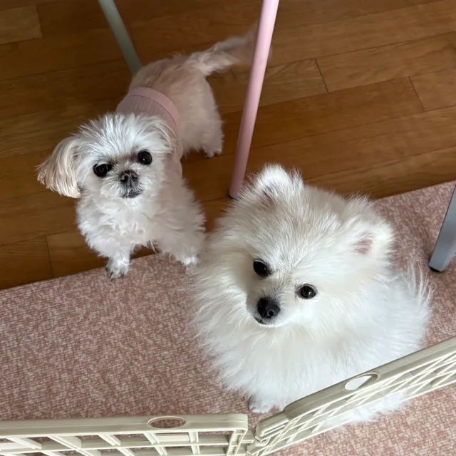 FCU에어컨네버