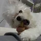 히히