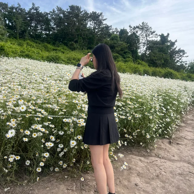 범이