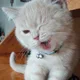 수수