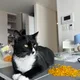 후츄