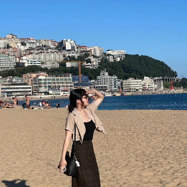 바라기