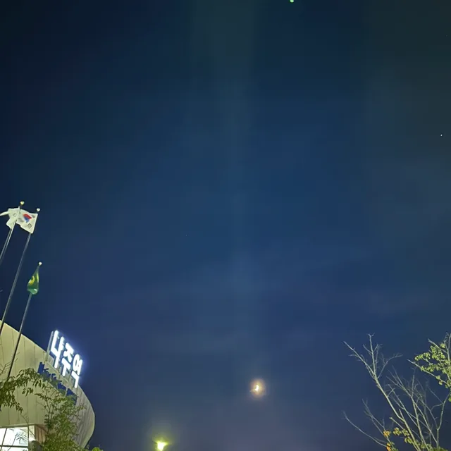 비우고비우기