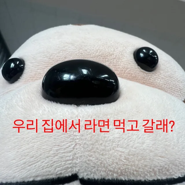 세상살이