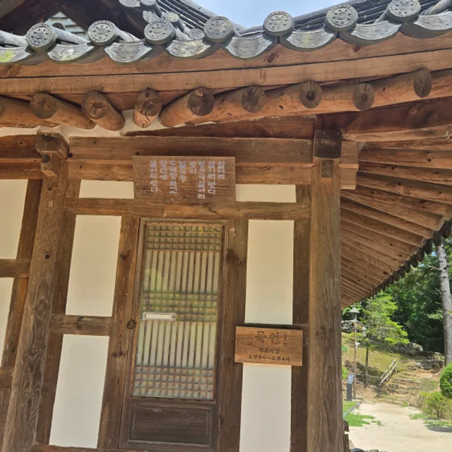 코스모스63