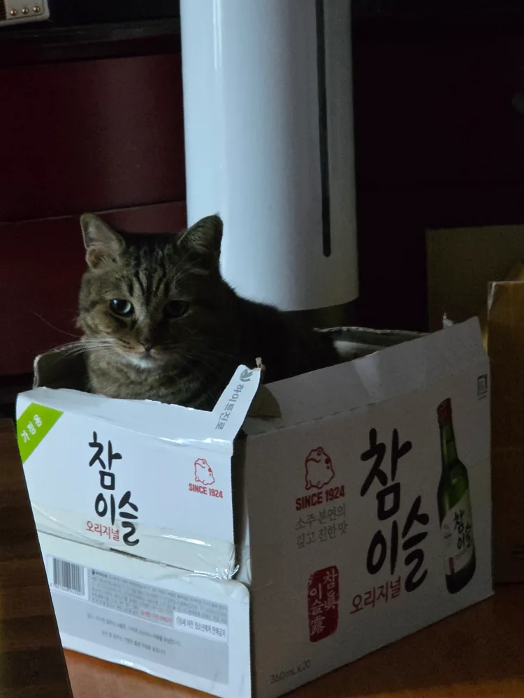 곰밥