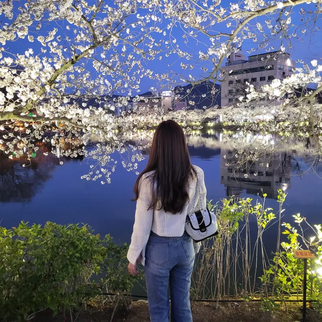 캐롤라인