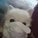 연두네