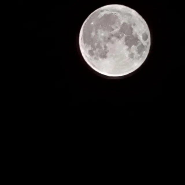 유니고니