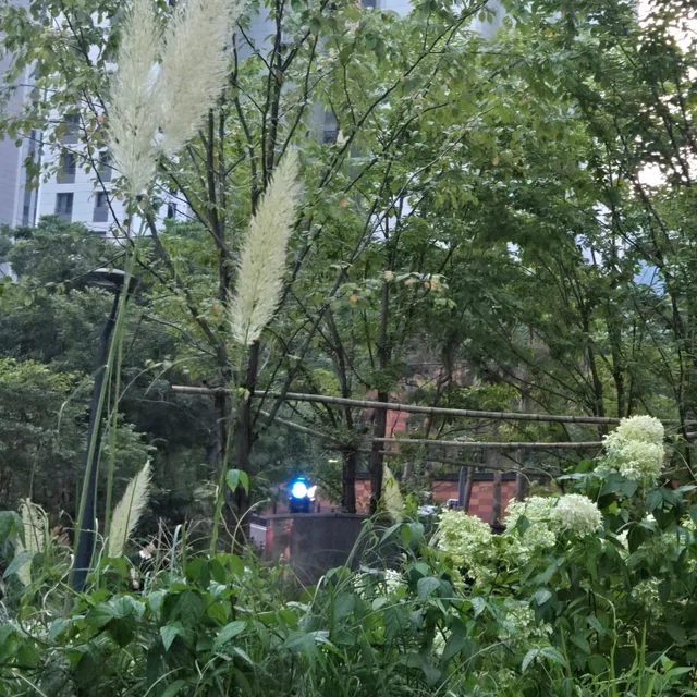 찡긋이웃