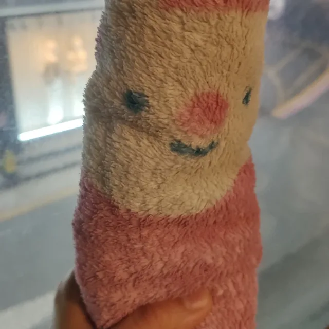 눈파란돼지