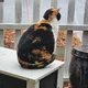 슬이네