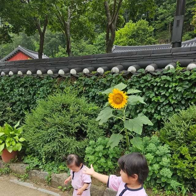 밤톨이망고네