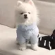 콩이