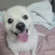 뽕따
