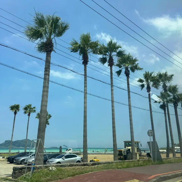 써니88