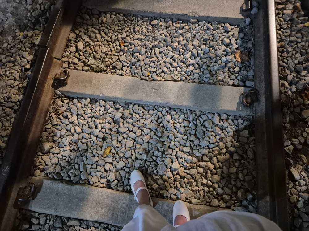 보물