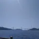 여름