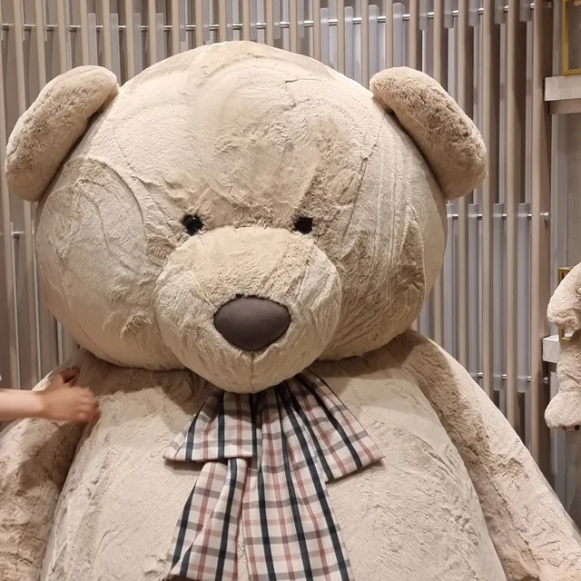 해스