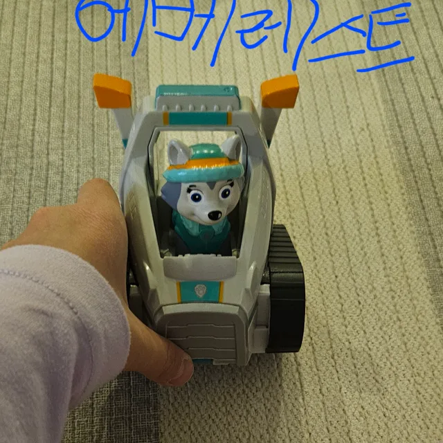 윤정