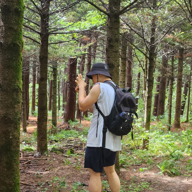 돌쇠