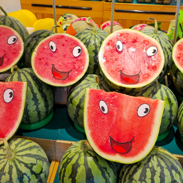 진자매아빠