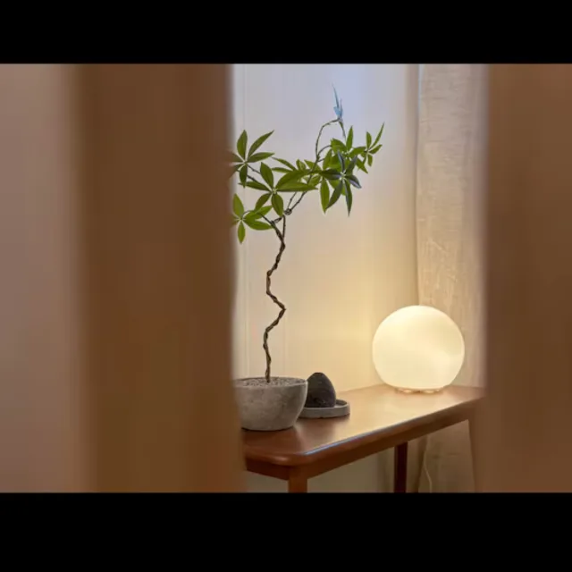 부테크