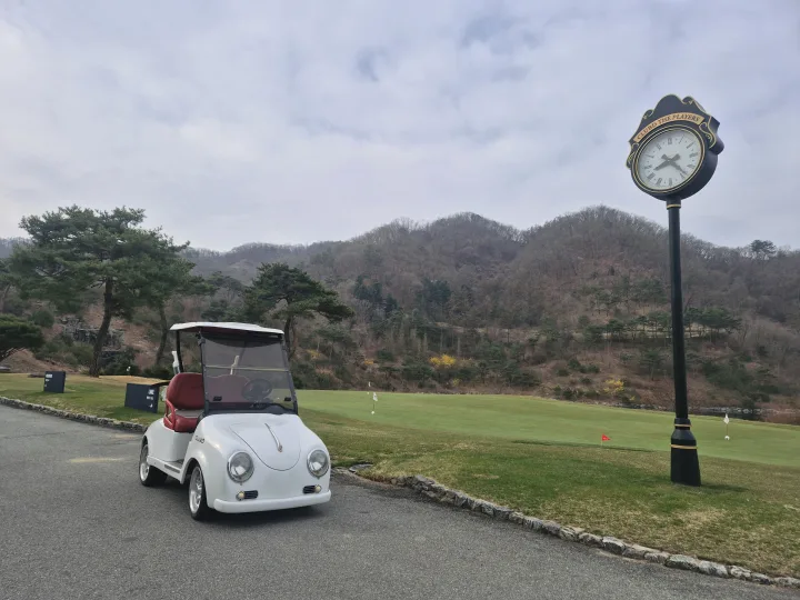 네잎크로버