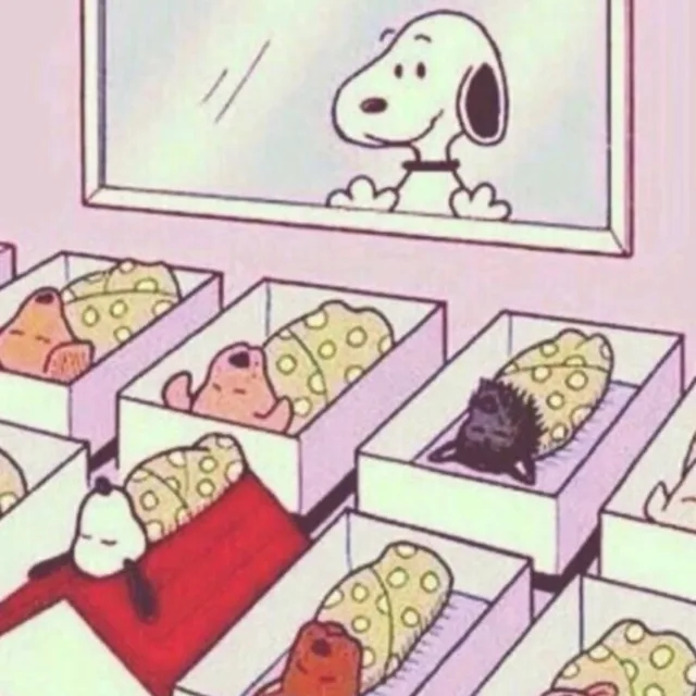 당근냠냠