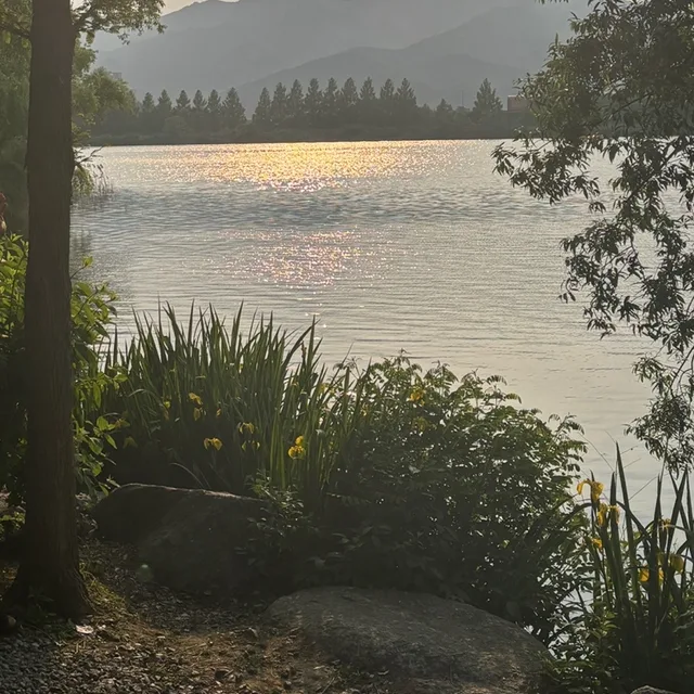 당근온도높여볼래요