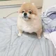 채소야채아빠