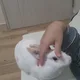 모모리