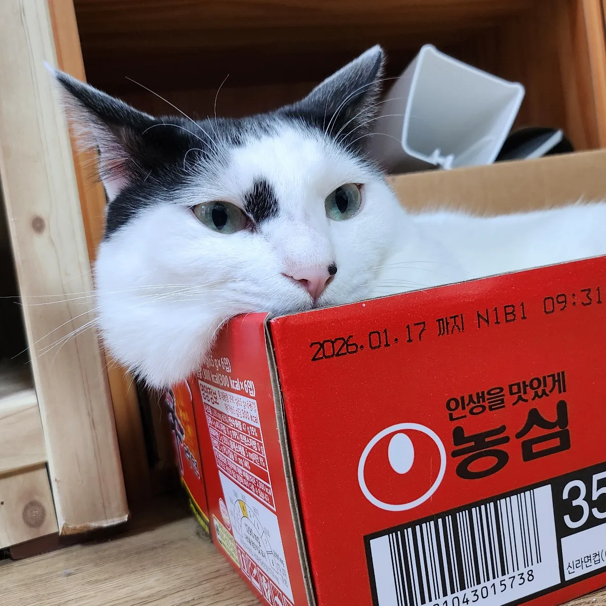 둡폿콩떡