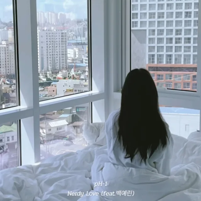 샤넬레이디