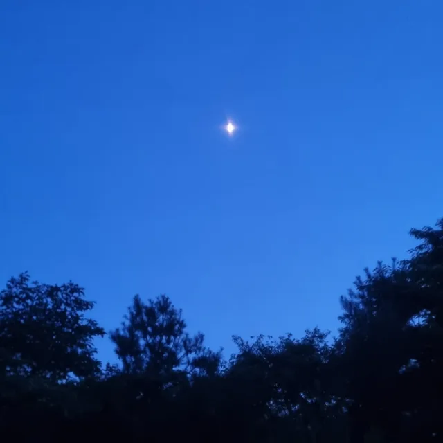 봄날이사