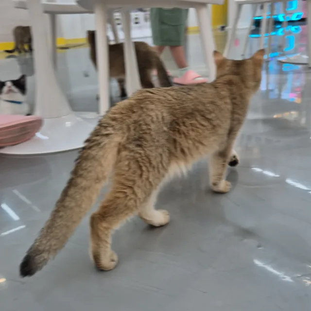 지금여기