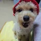 과빙당