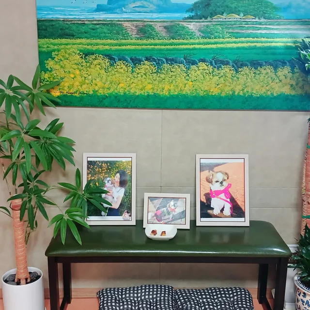 감사한마음