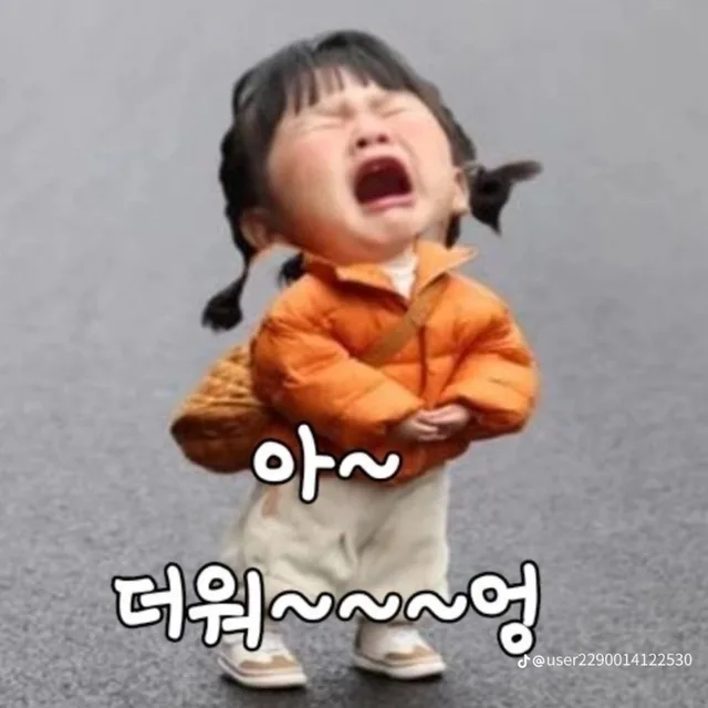 슈가