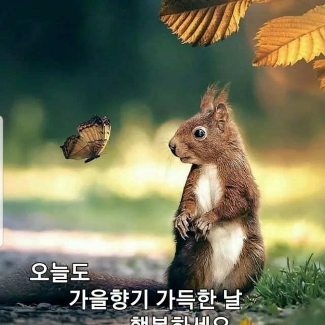 추월대