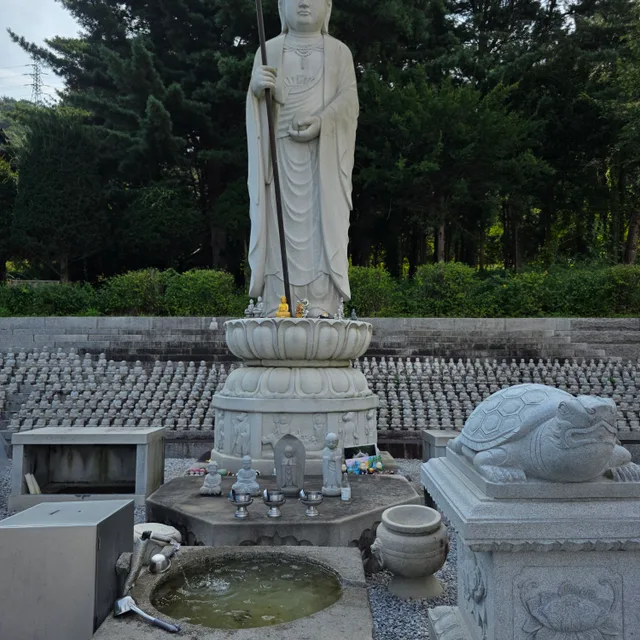 호박꽃
