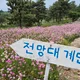 둘맘
