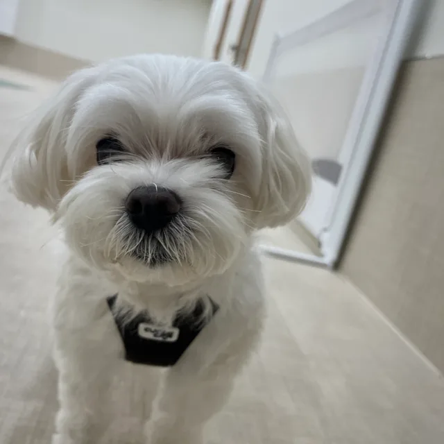 지유니