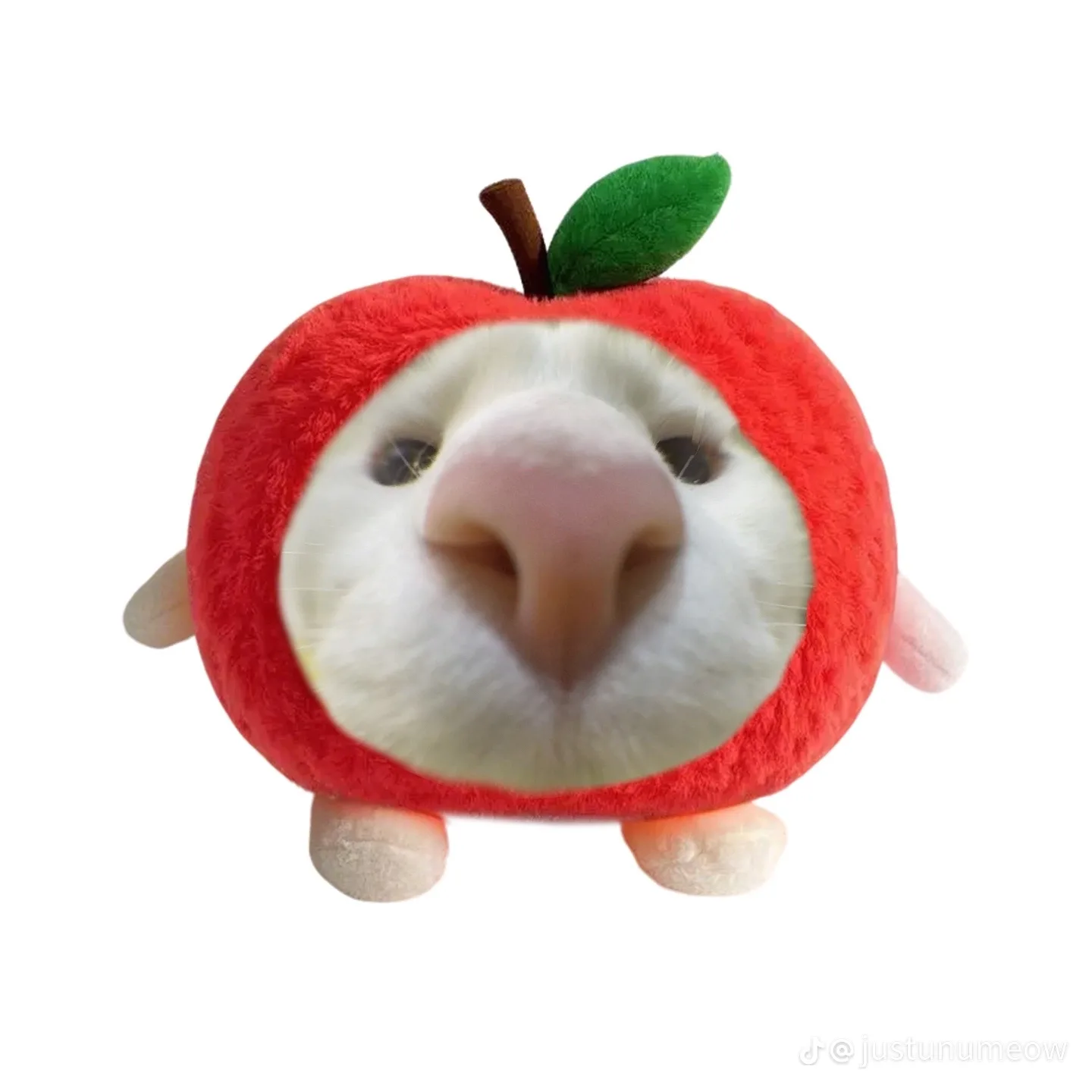 네고가능해요