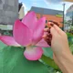 밤밤이