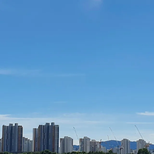 똑똑똑