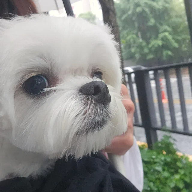 취미는장비빨